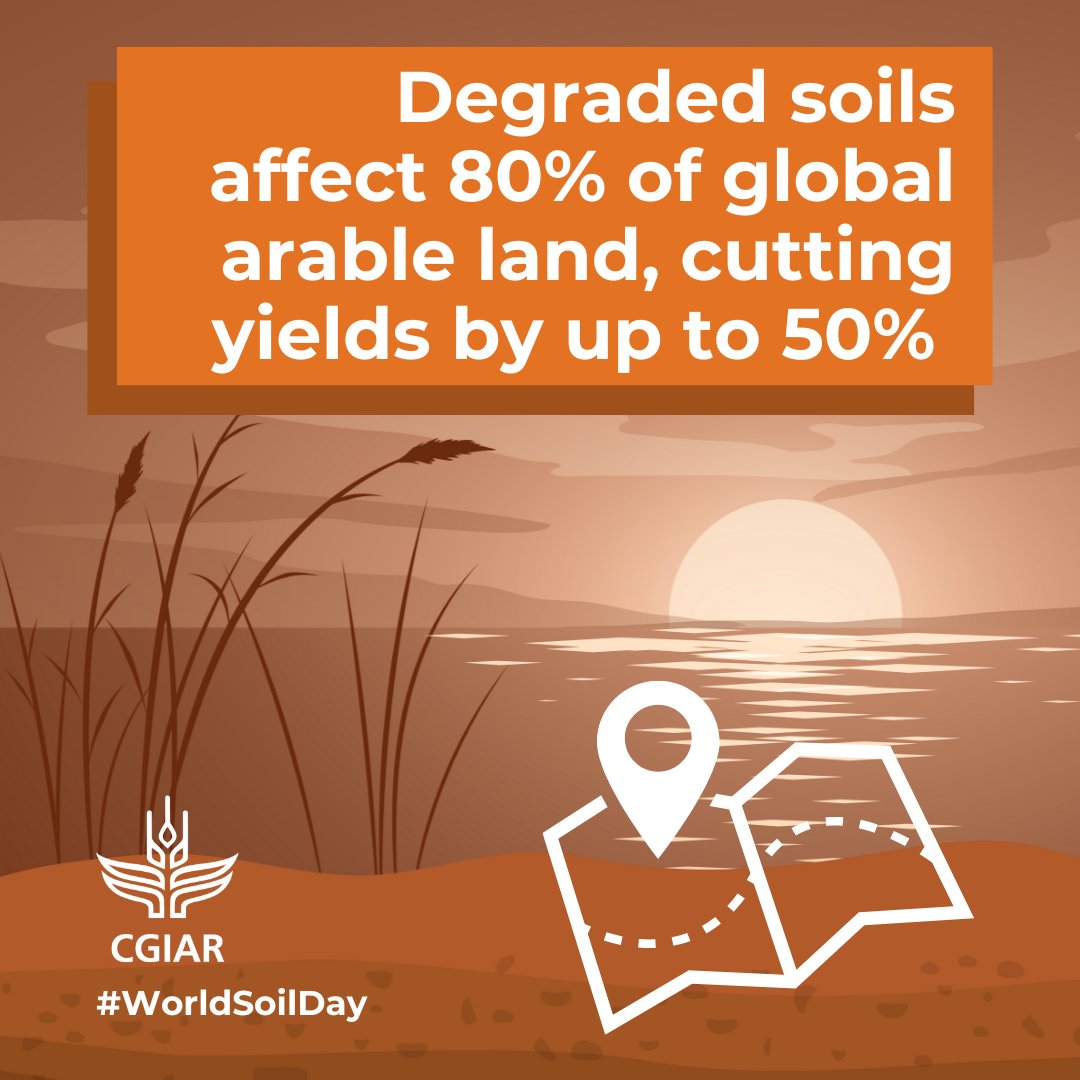 ILRI.org tweet media