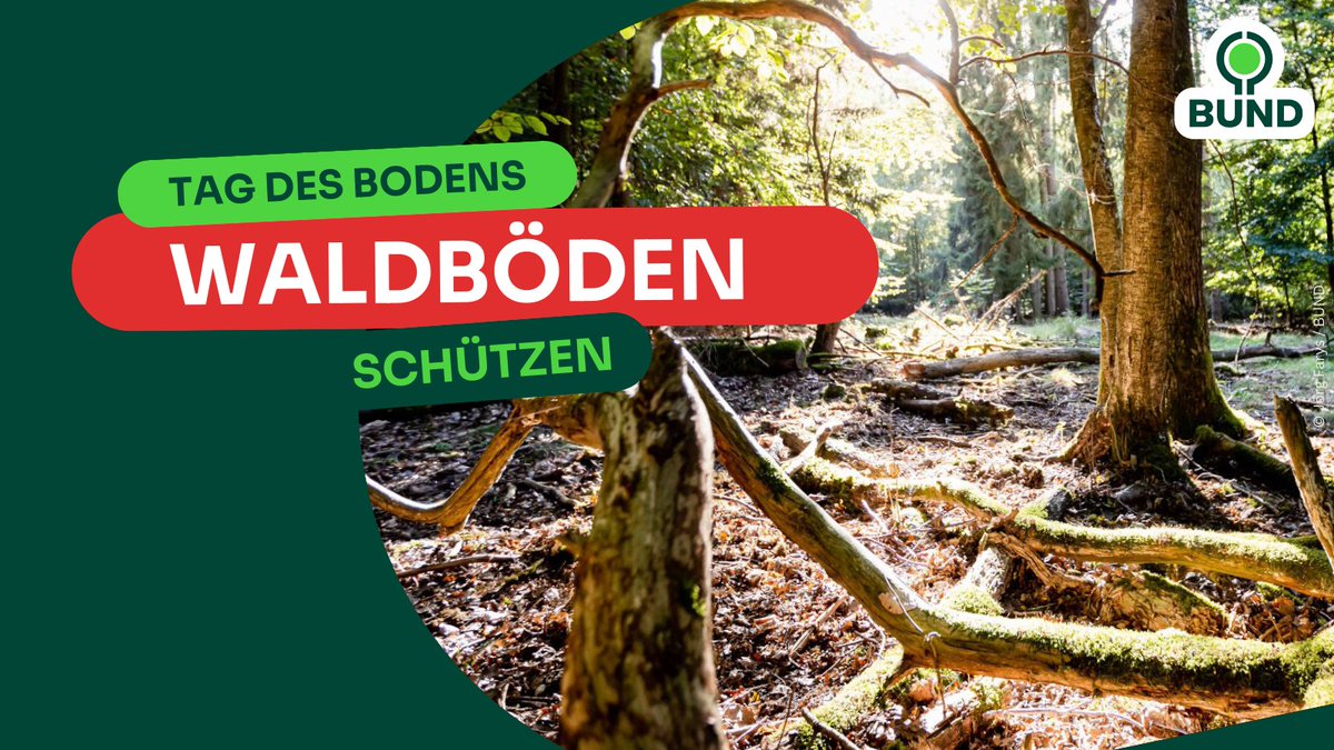 BUND Hessen tweet media