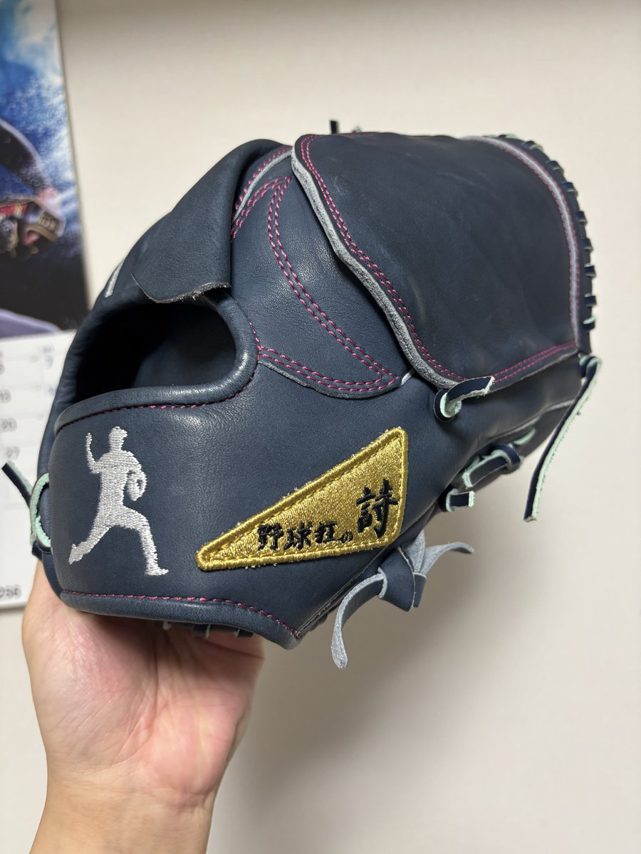 今日のシャドーのお供 野球狂の詩ってメーカーのプロ支給品仕様の投手