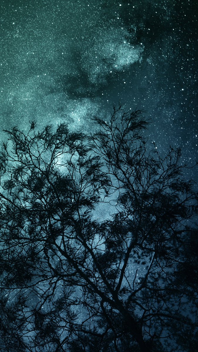earthcurated's tweet photo. —  pure poetry ✨ https://t.co/u3JjfrPCD7