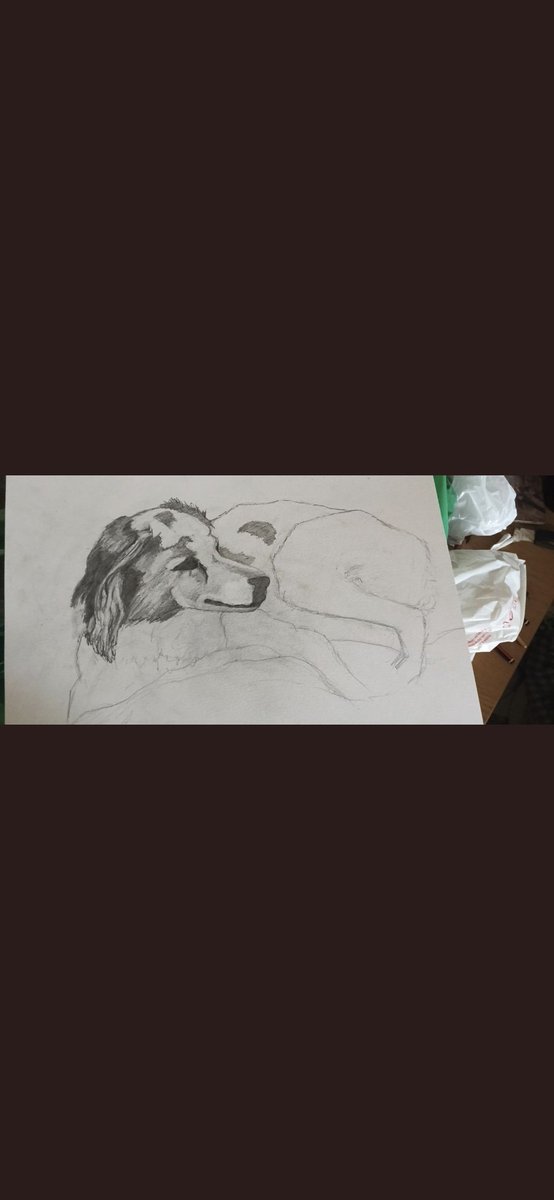 Cassandracass50's tweet photo. @isracantos me está haciendo este precioso dibujo de mi Sol.
Él está en mala situación económica.
Puedes escribirle y encargarle un dibujo de tu mascota y así le ayudamos! https://t.co/G4f8J2fTWZ