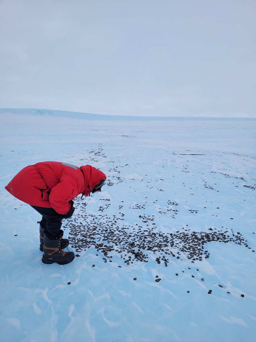 Erin Gibbons, PhD 🚀 tweet media