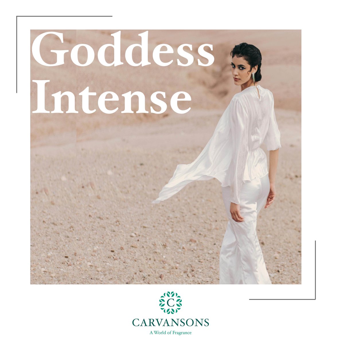CarvansonsLtd's tweet photo. Revealed - Our Fragrances of the Year! (as voted for by our perfumery team)
With over 1,000 new perfumes launching globally every year our team has never been busier.
So, what better time than to review some of the best fragrance launches of 2024?

#finefragrance #perfume https://t.co/eSV02AZYMB
