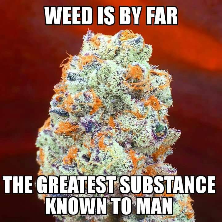 420matt9191's tweet image. GmGm to absolutely EVERYONE especially those who say it back