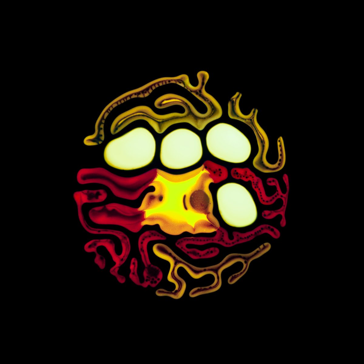 Haematopoiesis by RUBEN® (@UVioletArt) / Posts / X