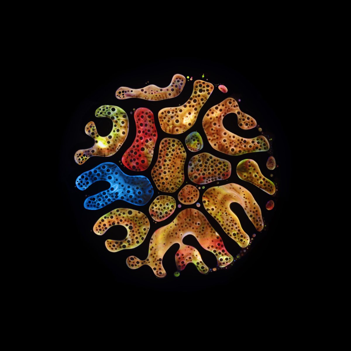 @konglomerate_ <a href="/UVioletArt/">Haematopoiesis by RUBEN®</a> 100% agree