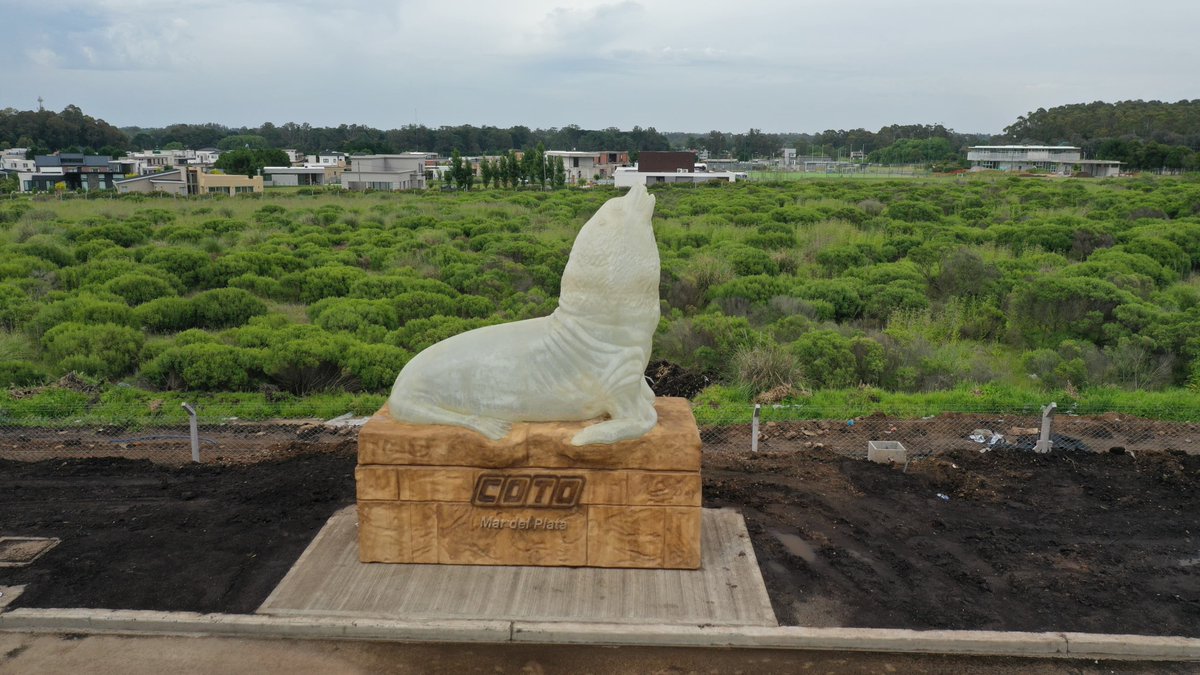 En un Rato <a href="/JMilei/">Javier Milei</a> viene a inaugurar en mar del plata, el mayor local comercial de la cadena COTO. Tiene hasta un Lobo Marino como los que estàn en la Rambla de la Feliz. Crèdito Foto <a href="/dronmardelplata/">Pablo Hugo Funes</a>