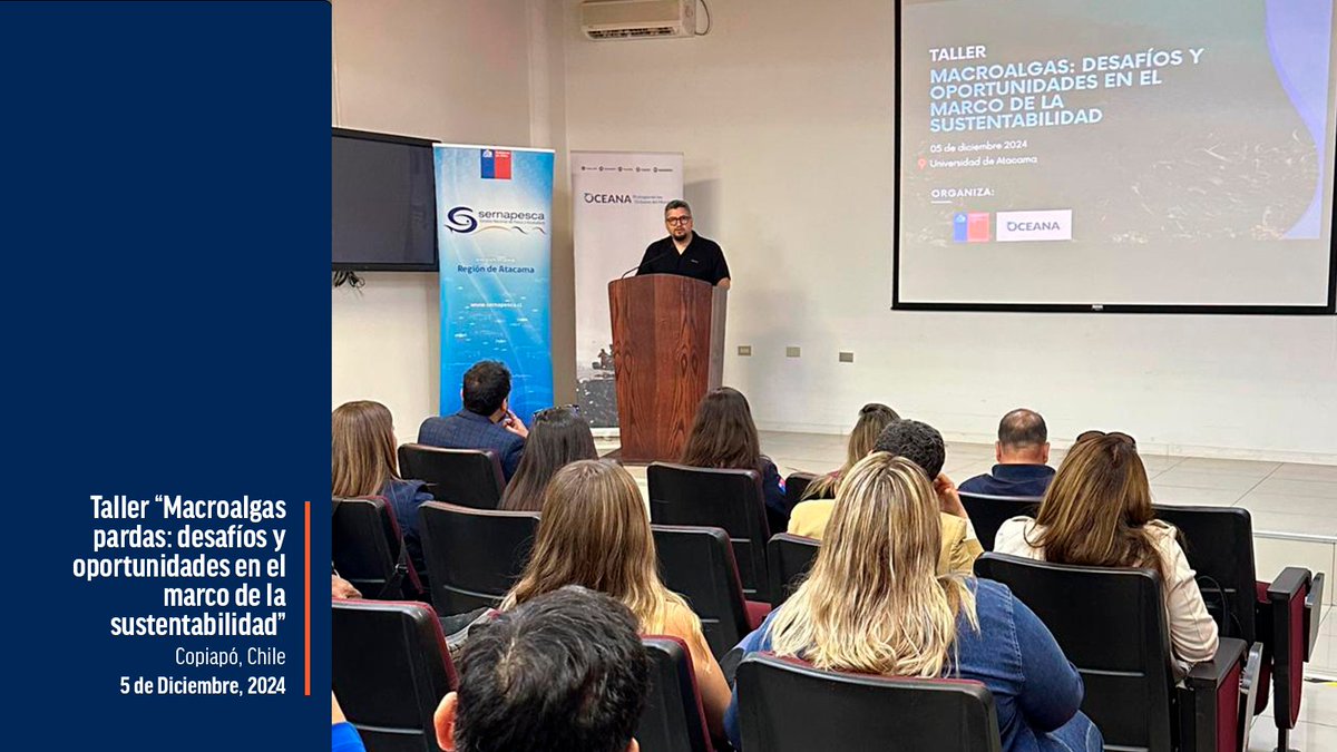 #OceanaEnRuta | Nuestro director de Campañas de Pesquerías, <a href="/cesar_astete/">César Astete</a>, inicia el taller “Macroalgas pardas: desafíos y oportunidades en el marco de la sustentabilidad” que se lleva a cabo en la <a href="/UAtacama/">Universidad de Atacama</a>, en Copiapó.

👉🏼 Algunos temas a tratar son: ¿Cómo mejorar su manejo