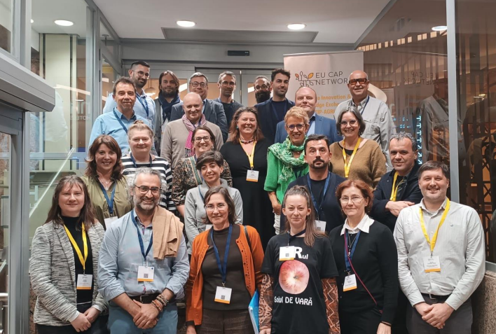 FRUITDIV tweet media