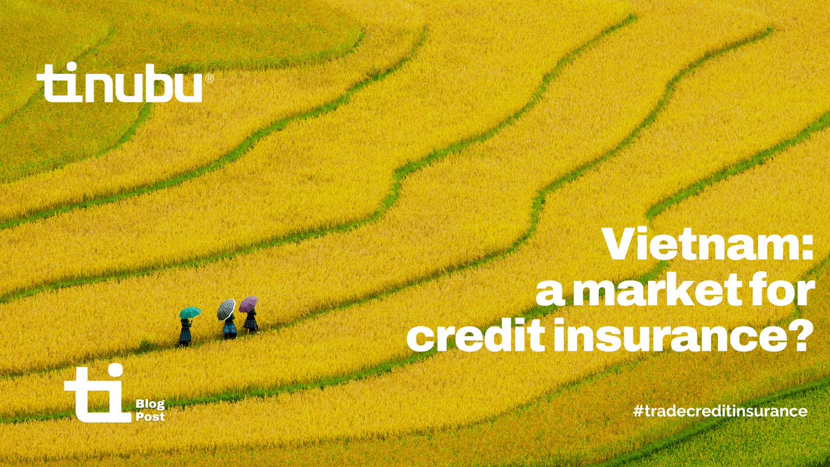 Why hasn’t credit insurance taken off in Vietnam despite its booming economy? 

Discover the challenges, opportunities &amp; how Tinubu is helping unlock its potential.
Read more: bit.ly/3VnDiV0
#CreditInsurance #VietnamEconomy #EmergingMarkets