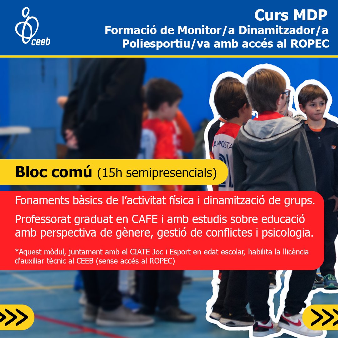 El Consell tweet media