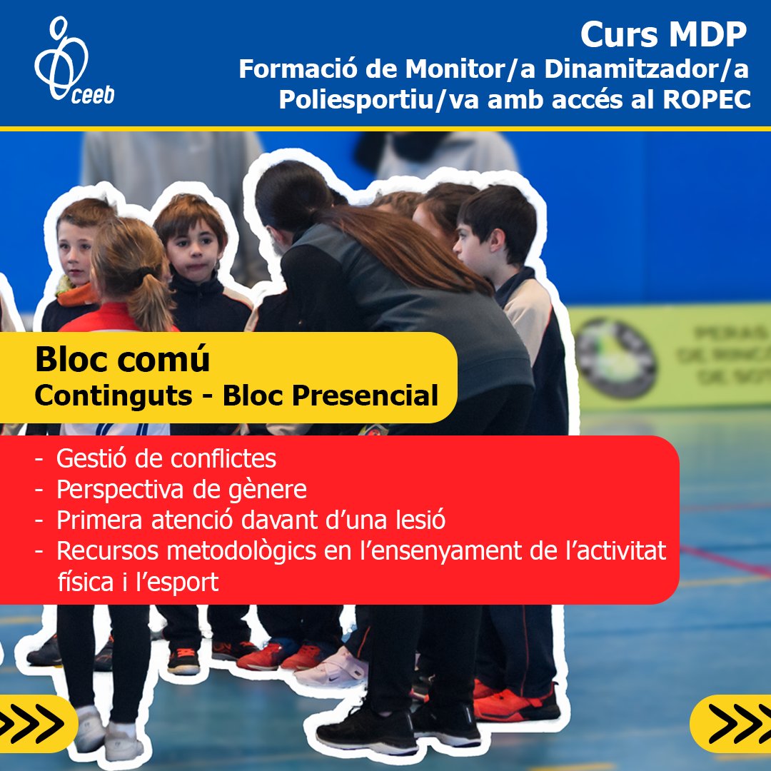 El Consell tweet media