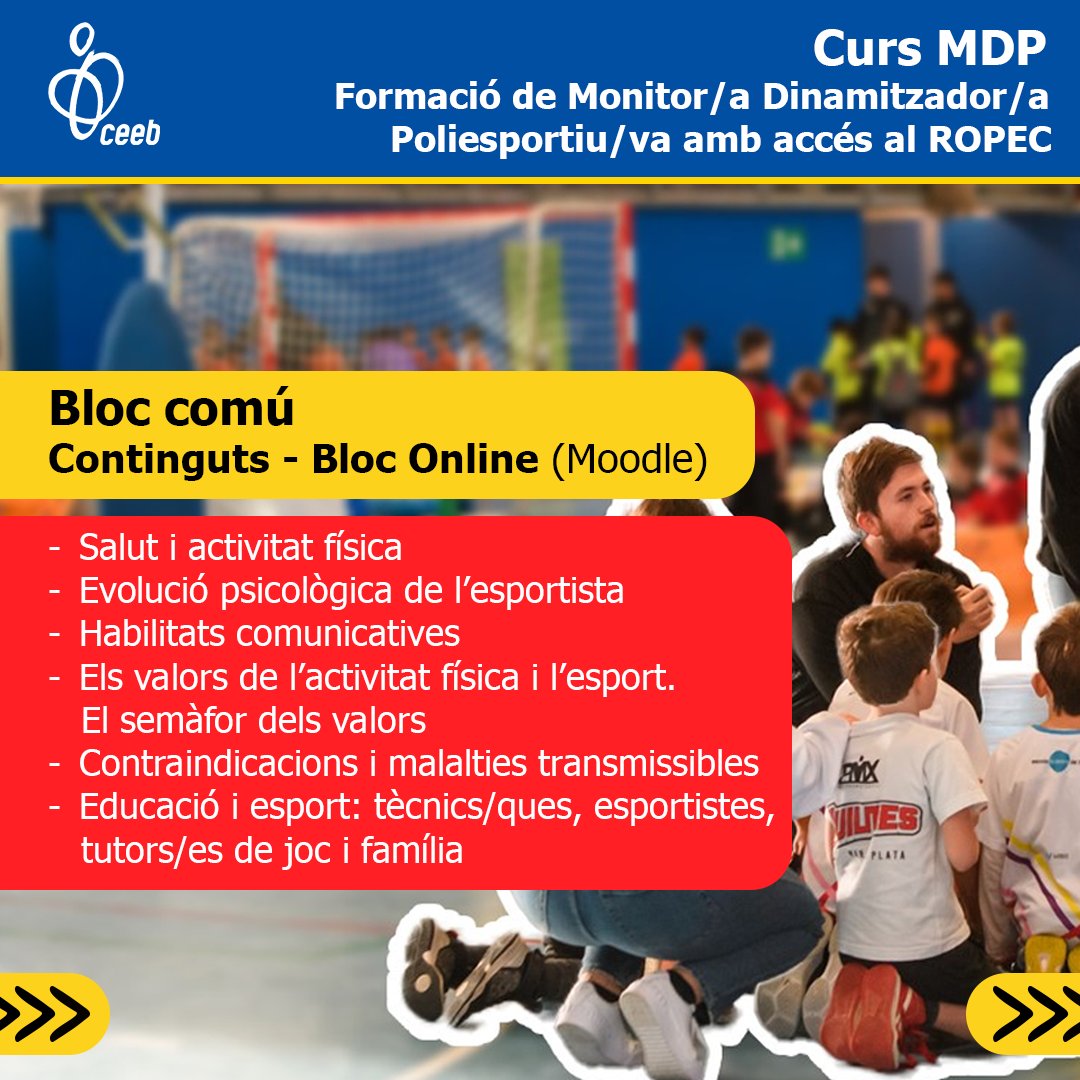 El Consell tweet media