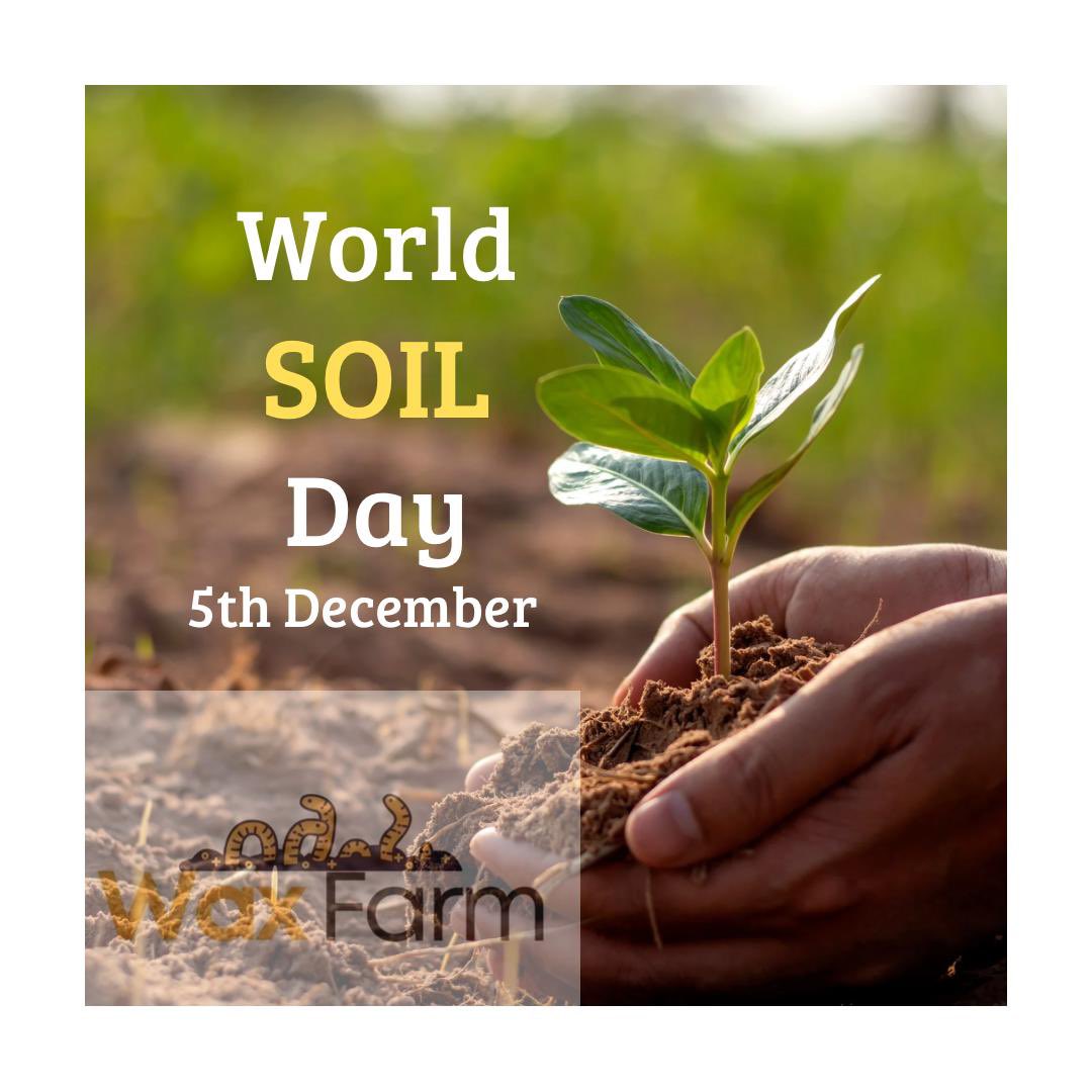 waxfarm's tweet photo. On World Soil Day, we recognize soil's vital importance for life. Using Waxfarms' organic fertilizer can help enrich soil and boost crop yields, promoting a sustainable future.

#WorldSoilDay #SoilHealth 
#OrganicFarming #kosmosinnovationcenter
#Mastercardfoundaion https://t.co/l3kIhumWp8