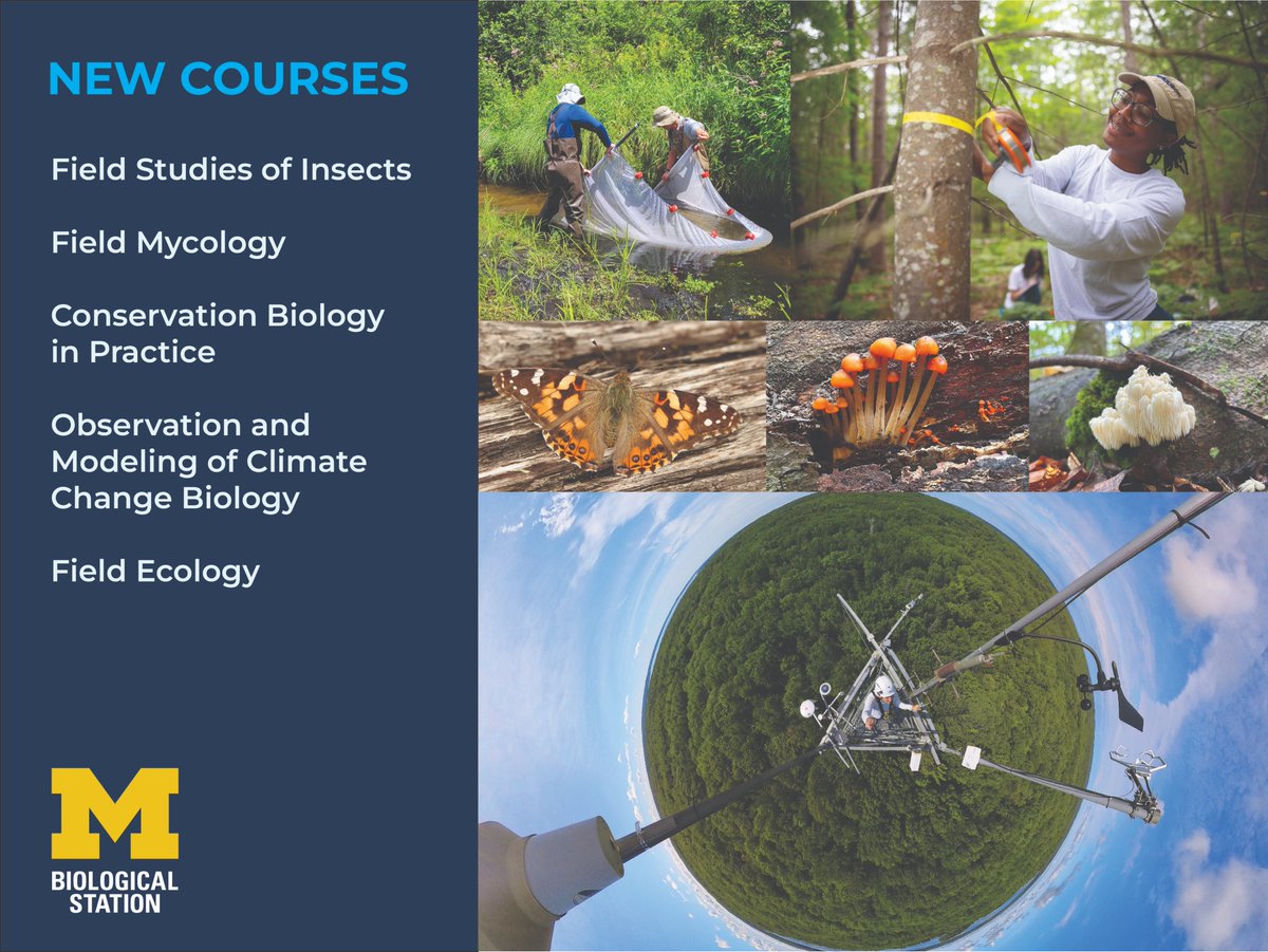 The University of Michigan Biological Station is debuting five new courses during the 2025 field season in May, June and July. Students from all universities, apply now for the spring and summer terms. Scholarships galore! myumi.ch/3Qddp