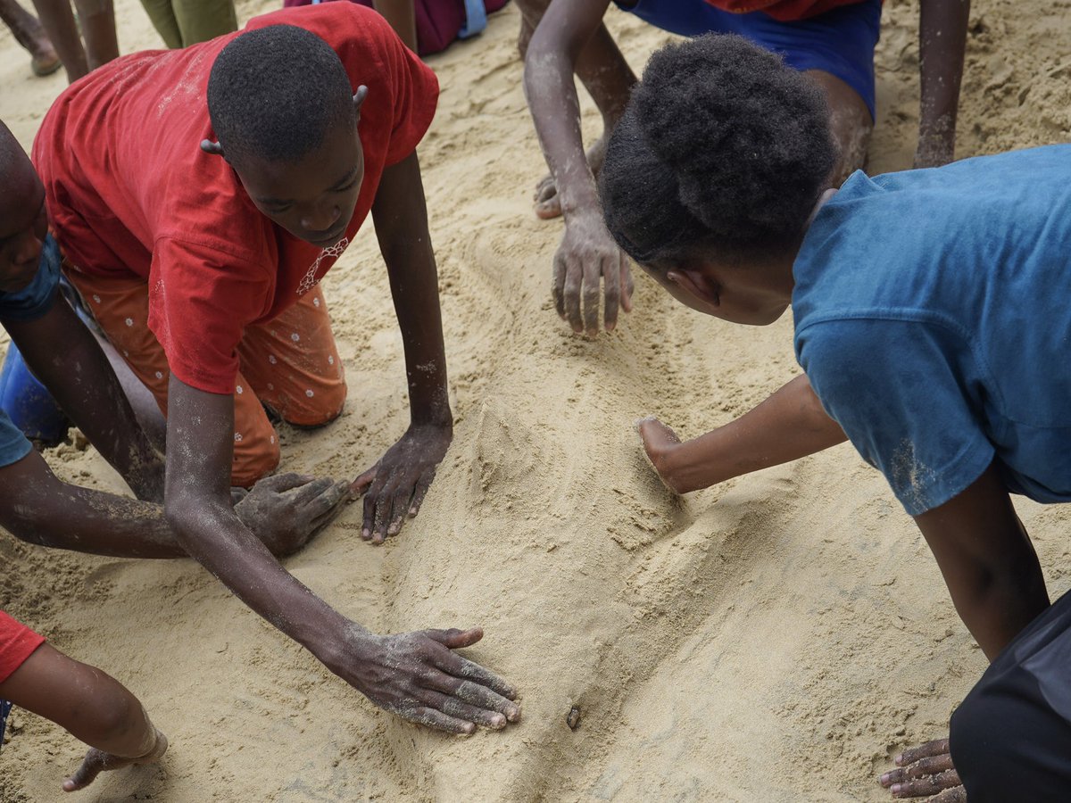 lamcot_lamu's tweet photo. Unleash Your Inner Sand Sculptor! 🏖️🎨 

Our young artists transformed sand into stunning marine masterpieces at the #BahariYetuFestival

Play is truly the highest form of research!

Read our blog to dive into the full story https://t.co/brkxVh2ugW #WatotoDay #OceanConservation https://t.co/Yc7qse9a84