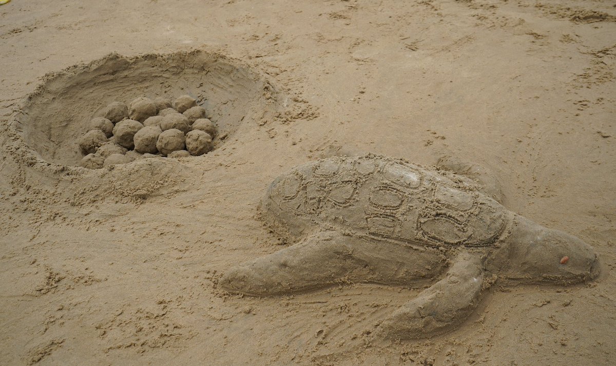lamcot_lamu's tweet photo. Unleash Your Inner Sand Sculptor! 🏖️🎨 

Our young artists transformed sand into stunning marine masterpieces at the #BahariYetuFestival

Play is truly the highest form of research!

Read our blog to dive into the full story https://t.co/brkxVh2ugW #WatotoDay #OceanConservation https://t.co/Yc7qse9a84