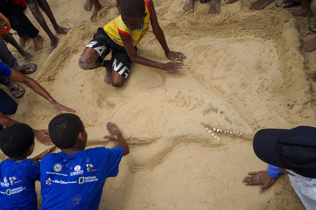 lamcot_lamu's tweet photo. Unleash Your Inner Sand Sculptor! 🏖️🎨 

Our young artists transformed sand into stunning marine masterpieces at the #BahariYetuFestival

Play is truly the highest form of research!

Read our blog to dive into the full story https://t.co/brkxVh2ugW #WatotoDay #OceanConservation https://t.co/Yc7qse9a84