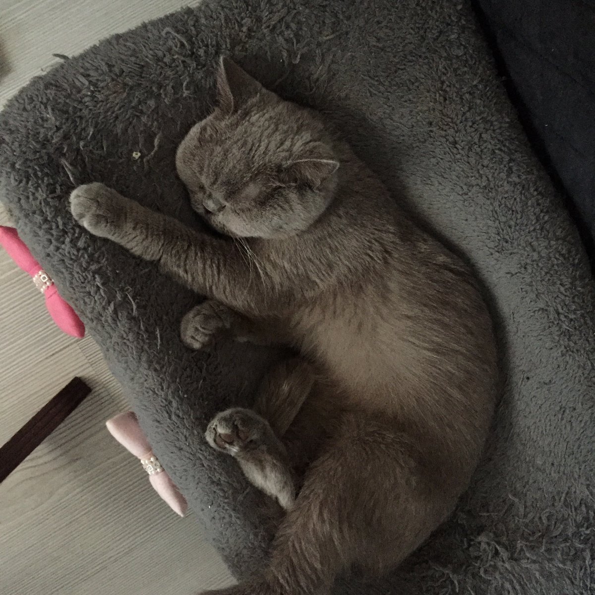 withaysey's tweet photo. Staj çıkışı ben https://t.co/6qu4Z7FmXP