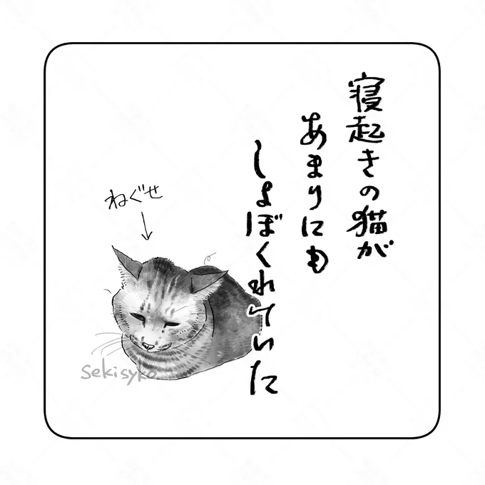 雑日記
あんなに姿かたちがかわいい猫なのにニンゲンの起き抜けと同じだなんてなんて残酷な。かわいい 