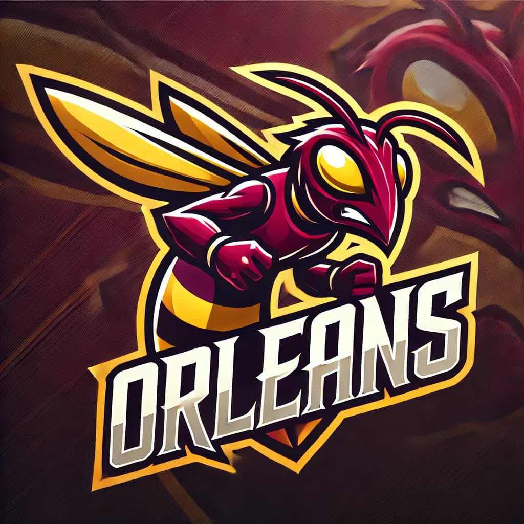 Orleans_SDL's tweet photo. 🥁 C’est le moment de vous présenter les joueurs de l’équipe pour la compétition : 

🪄PG : @04_Mattheo ( #31 )
🎯 SG : @Baste__X ( #10 ) 
🔒Lock : @viinodeuspii ( #71 )
🦅PF : @StEeVo973 ( #90 ) 
🦍C : @salim97600 ( #50 )
🔋6TH : @Bryan_mtp13 ( #111 )

Bienvenue dans l’équipe ! https://t.co/ewKT0DScoz