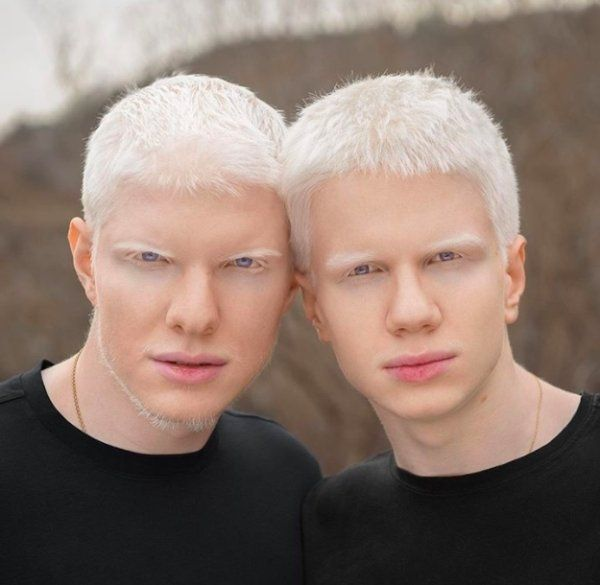 ABINO NIGGA SEASON tweet media