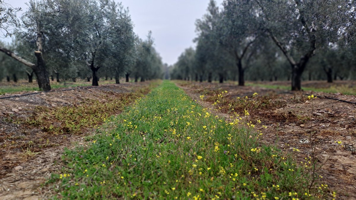 ConservationAgEurope tweet media