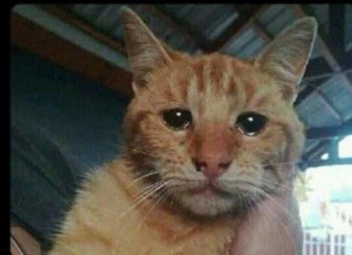 _MKAVELI's tweet photo. HER:weka password na unipe simu
Me:Babe ujue watu wananiita beb na sitaki https://t.co/Nrz7aOD9RK