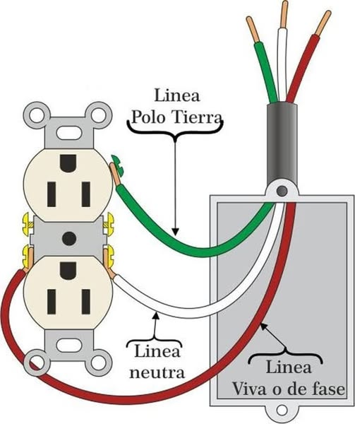 EnsedeCiencia's tweet photo. 👉 Observa como se conecta un contacto para que tú lo hagas y te ahorres lo del electricista 🫵 https://t.co/e4YKyFrCyx