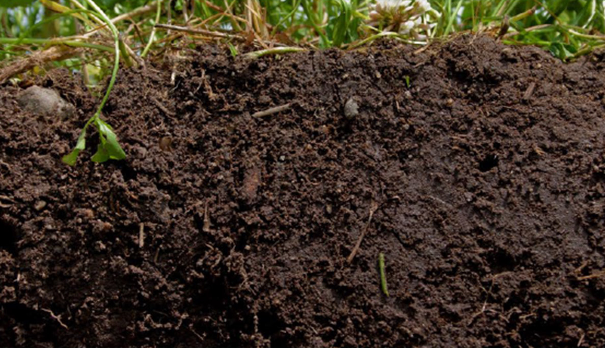 NRCSMaine's tweet photo. Many states have a designated state bird, flower, fish, tree, rock...and even a state soil!  The “Chesuncook” is the official state soil of Maine. #WorldSoilDay https://t.co/gLAQR2RHOJ