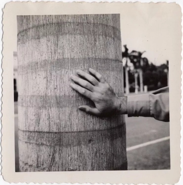 humanpilot's tweet photo. #foundphotography #blackandwhite #photography https://t.co/773KpHnNjA