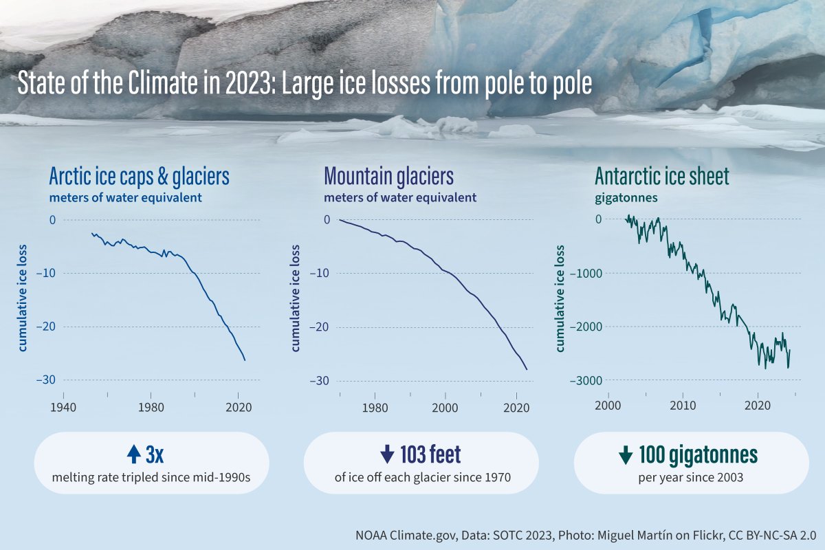 BONUS🌍 tweet media