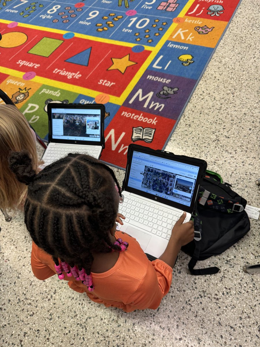 Kelly Mitchell tweet media