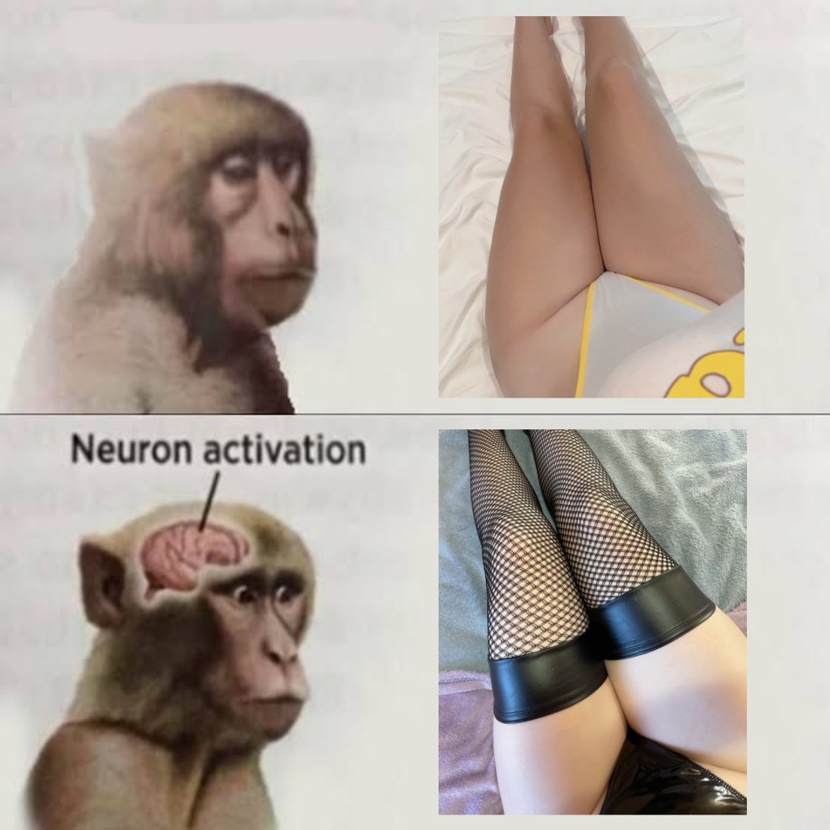nikachi_tyan's tweet photo. I see u guys love memes ;з https://t.co/Ho8IoSrODW
