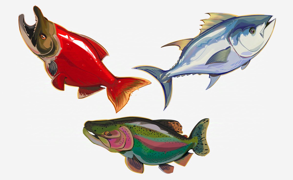 HerbYeen's tweet photo. Also fishes https://t.co/u1AluhfUN7