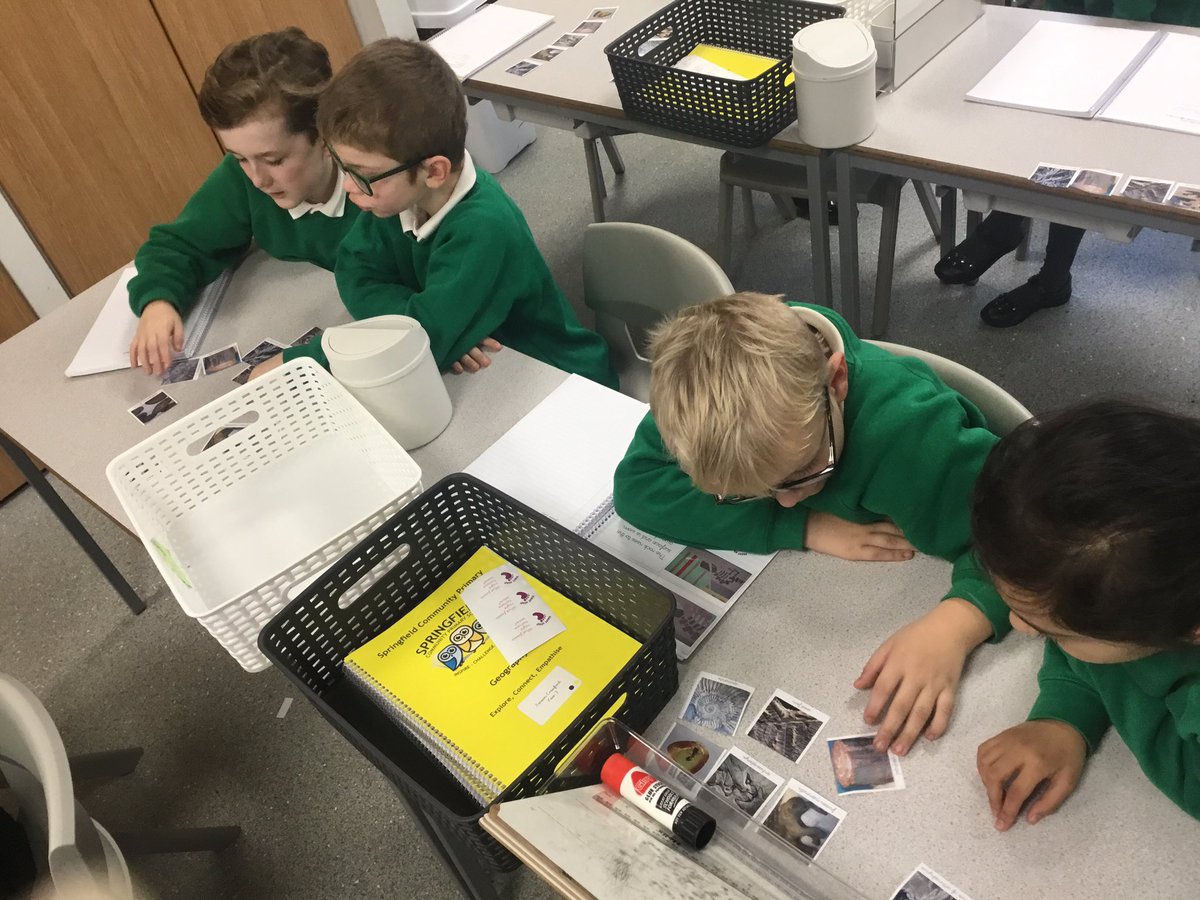 springfield_cps's tweet photo. In Science this afternoon Year 3 have been identifying different types of fossils. https://t.co/oGbaDwPq1c