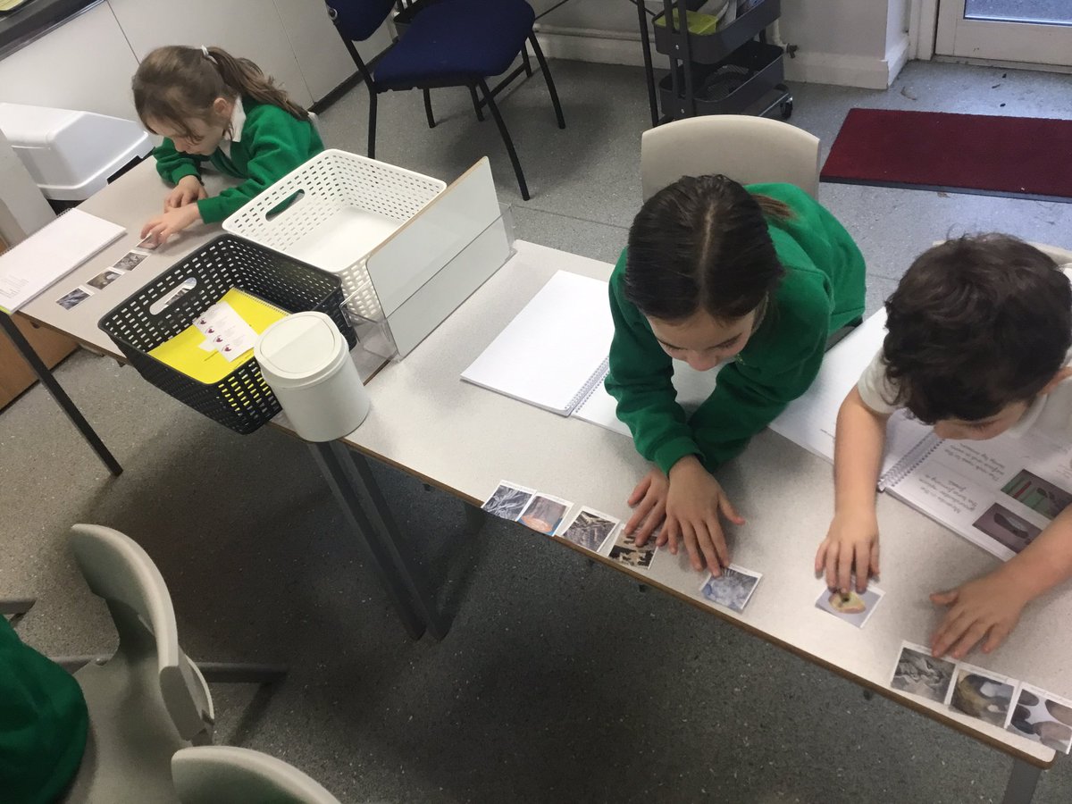 springfield_cps's tweet photo. In Science this afternoon Year 3 have been identifying different types of fossils. https://t.co/oGbaDwPq1c
