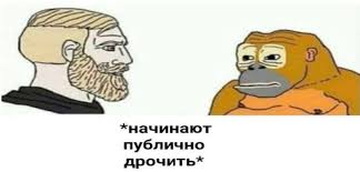 лабиринт мемотавра (@q_q_owl) on Twitter photo 