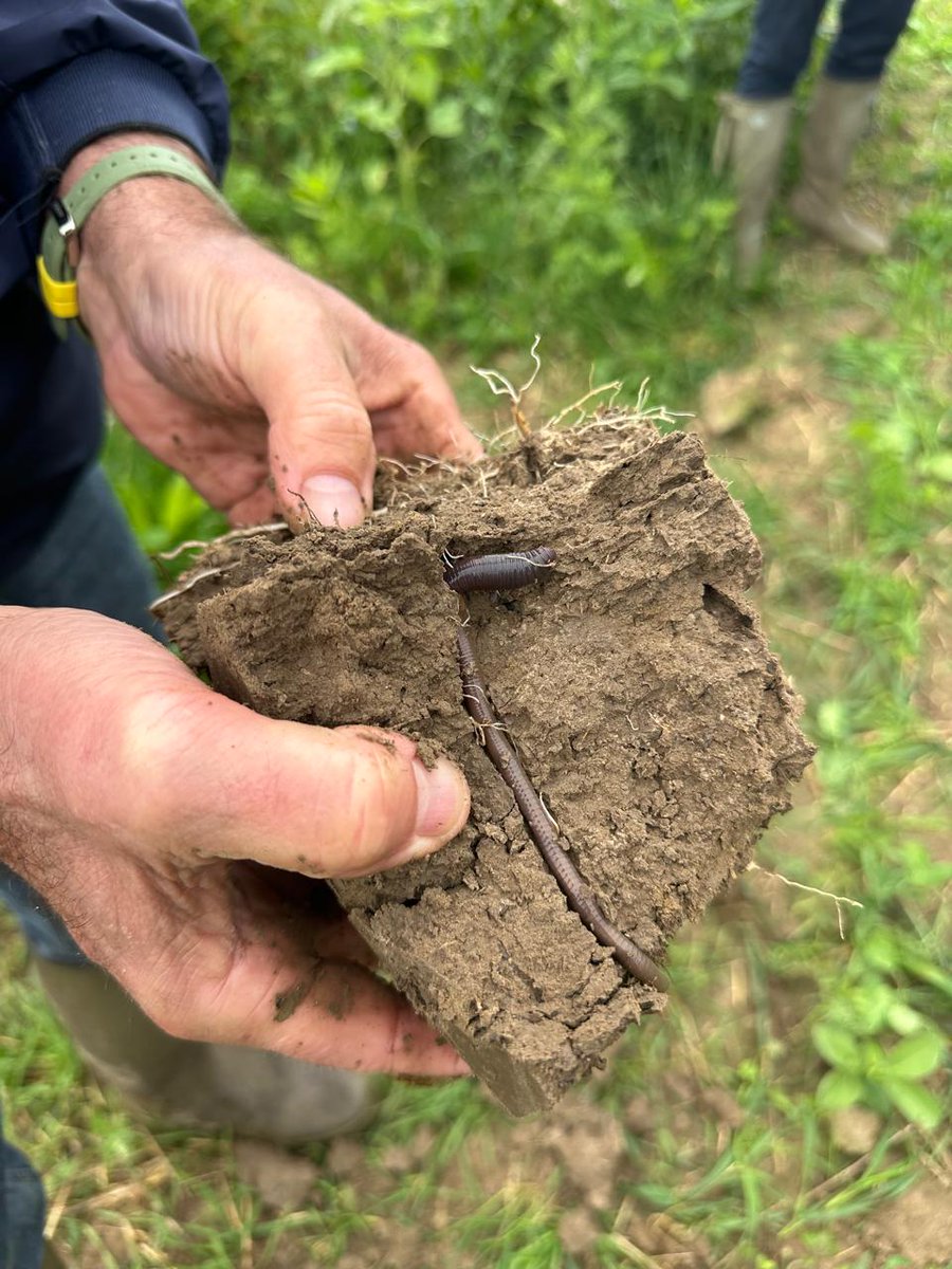 ConservationAgEurope tweet media