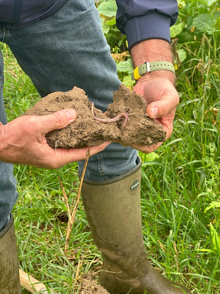 ConservationAgEurope tweet media