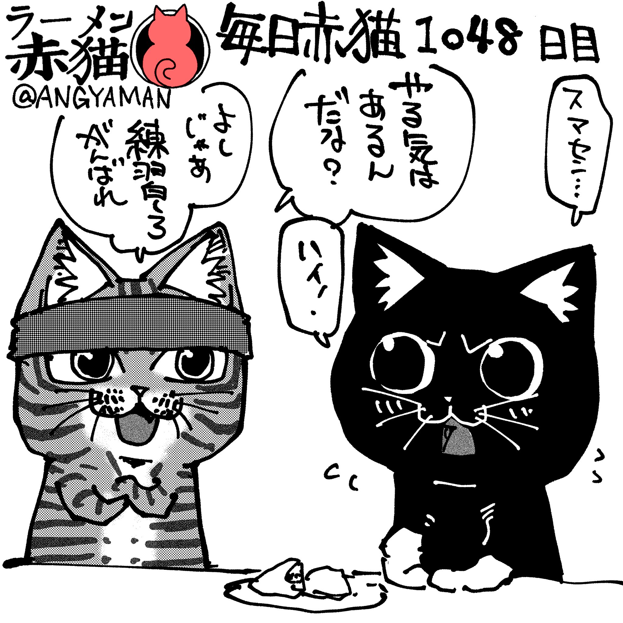 ✩新品　九谷焼　アポロSynm(シン)　招き猫　赤盛右✩赤盛と黒猫の2点セット 楽天市場】アポロ招き猫の通販