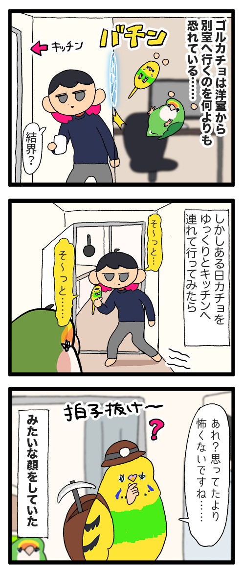 カチョちゃん、勇気を出して飼い主のところへ飛んできてくれる🦜🦜🦜(のろけ漫画)
1988 #えるポピの絵日記かくところ