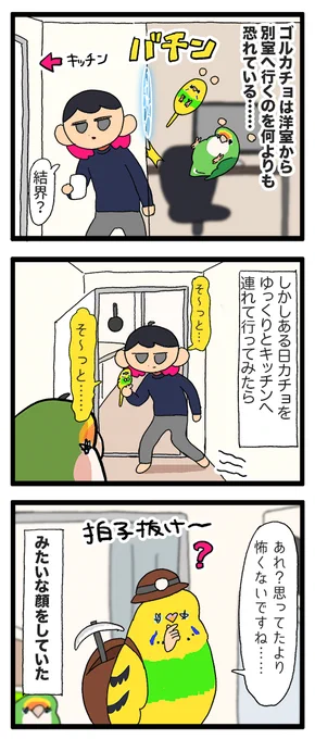 カチョちゃん、勇気を出して飼い主のところへ飛んできてくれる🦜🦜🦜(のろけ漫画)

1988 #えるポピの絵日記かくところ 