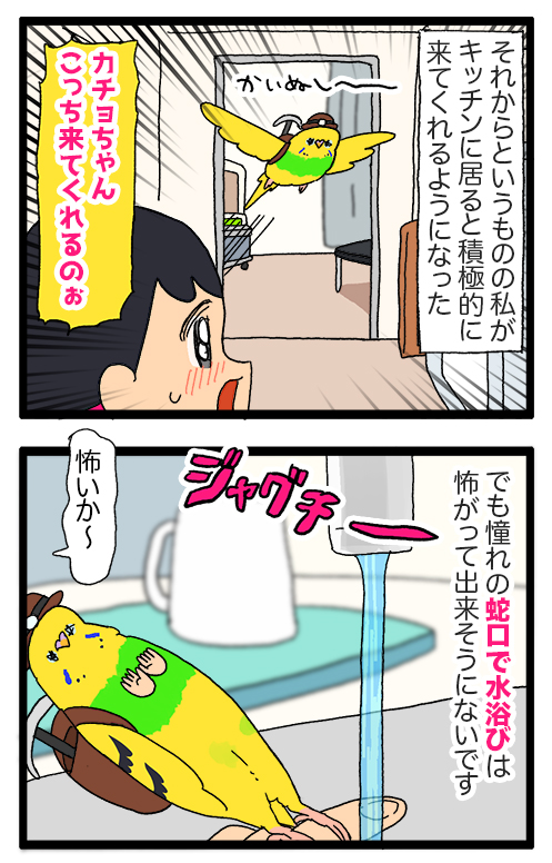 カチョちゃん、勇気を出して飼い主のところへ飛んできてくれる🦜🦜🦜(のろけ漫画)
1988 #えるポピの絵日記かくところ