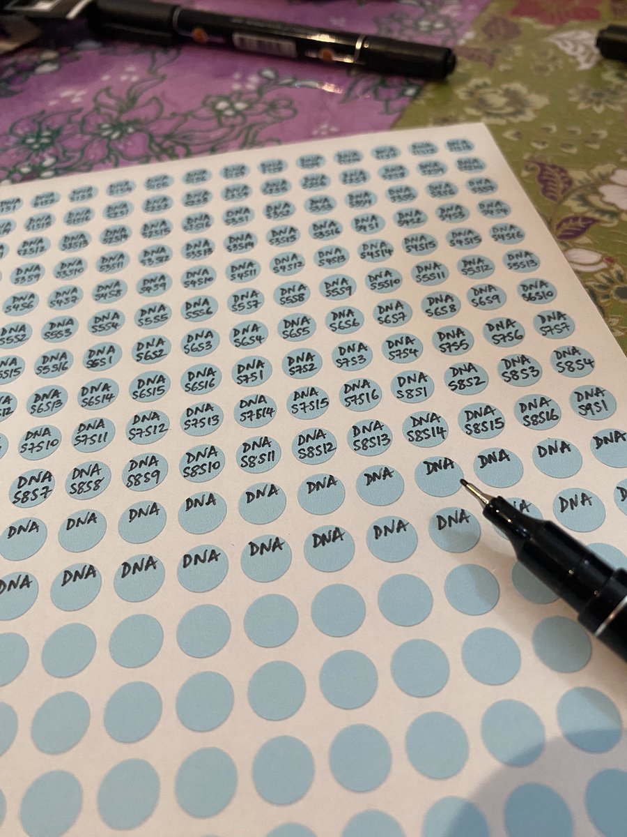 Vanina Guernier, PhD 🦠🧬 tweet media