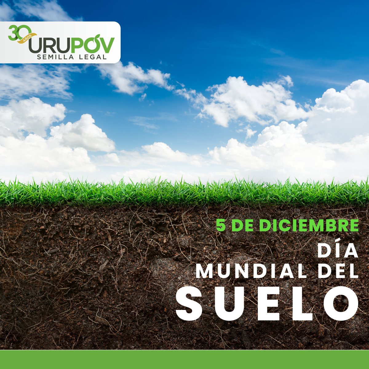 🌍 En el #DíaMundialDelSuelo, recordamos que cuidar y regenerar nuestro suelo es esencial para un futuro sostenible y para garantizar la seguridad alimentaria. 
¡Por un suelo sano, por un planeta próspero! 🌱🌾

#SemillaLegal #30AñosURUPOV #SuelosSanos