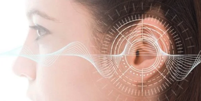 Occitanie Angels tweet media