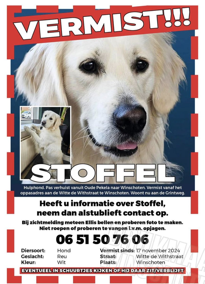 18e dag dat hulphond Stoffel is vermist. Goed nieuws is dat hij is gezien. Vooral als het donker is en rennend. Als je hem ziet niet opjagen. Laatst gezien in omgeving: Midwolda, Nieuwwolda, Nieuw Scheemda, Oostwold, 'T Waar en Scheemda! Retweet is lief 🙏
sikkom.nl/actueel/Hulpho…