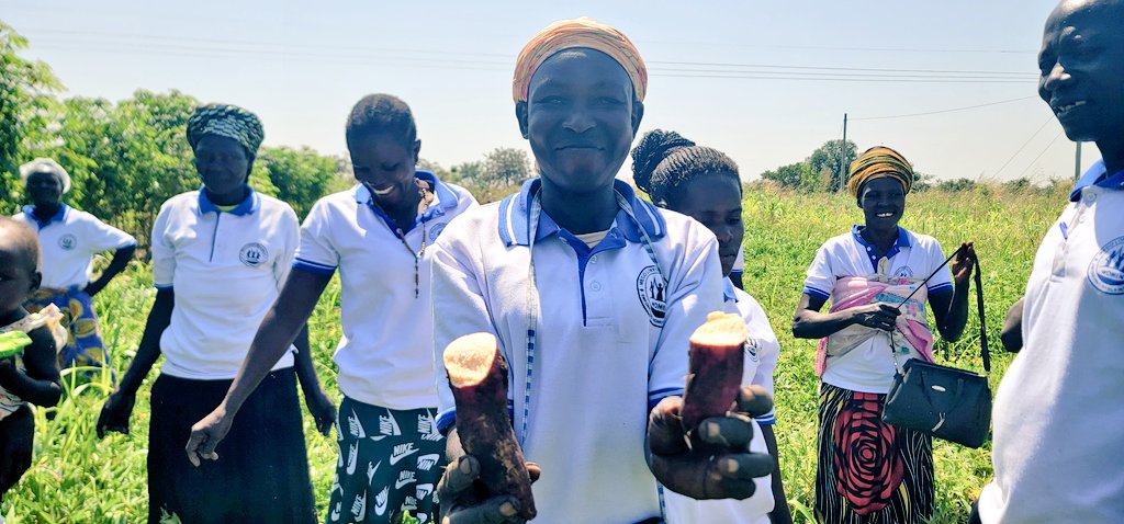 uwonet's tweet photo. We visited the works of the Megolonyo women farmers' group,  it's interesting. 

As a group, they have plantations of maize, soya, sweet potatoes, etc. This, according to their C/P, will be sold, and they get money to add in their respective businesses 😉.  What a group Mego is? https://t.co/LWfaI7hae9