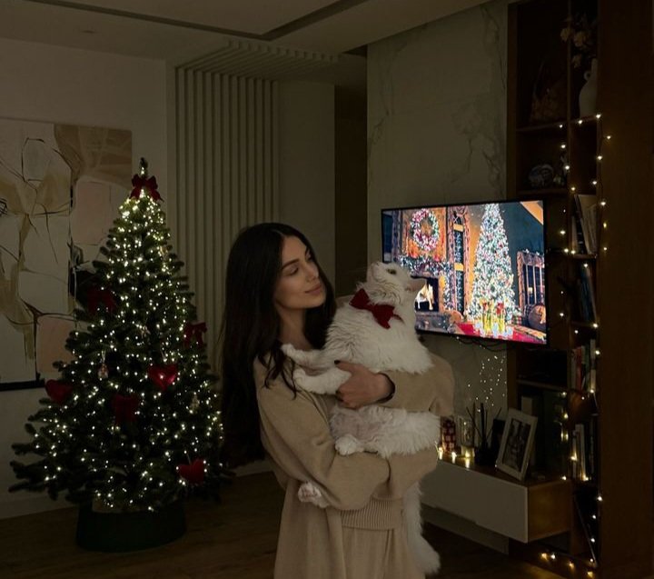 iq collection tweet media